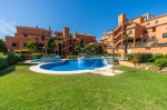 Garden and Pool