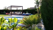 Pergola-Pool_0